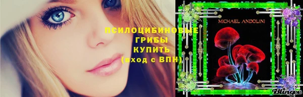 твердый Балахна