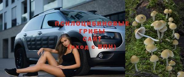 каннабис Арсеньев