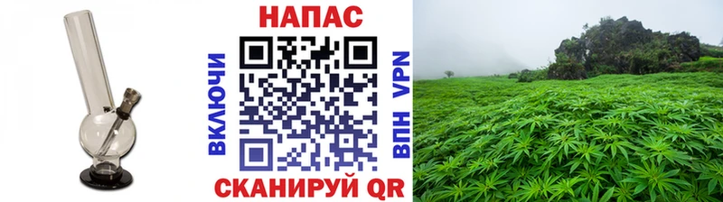мориарти Telegram  Нижние Серги  Марихуана SATIVA & INDICA 